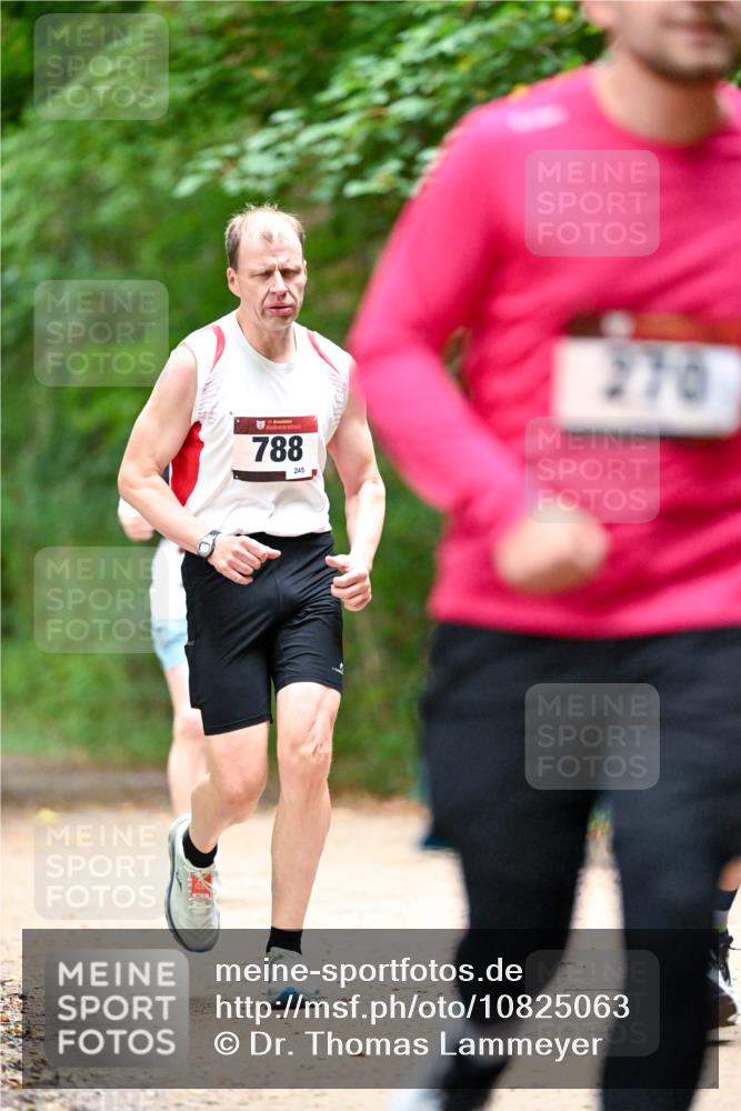 11.10.2026 - Bramfelder Halbmarathon 2026 Dr. Thomas Lammeyer http://msf.ph/oto/10825063 11.10.2026 10:47:22 Laufen 35, 788, 245, 270 meine-sportfotos.de