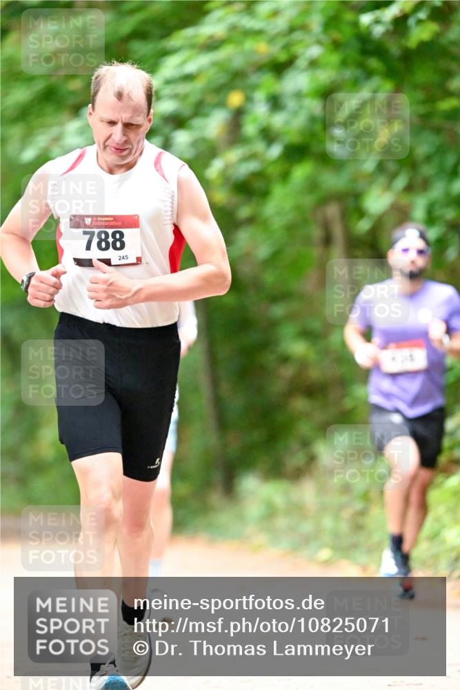 11.10.2026 - Bramfelder Halbmarathon 2026 Dr. Thomas Lammeyer http://msf.ph/oto/10825071 11.10.2026 10:47:23 Laufen 35, 788, 245 meine-sportfotos.de