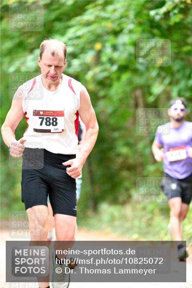 11.10.2026 - Bramfelder Halbmarathon 2026 Dr. Thomas Lammeyer http://msf.ph/oto/10825072 11.10.2026 10:47:23 Laufen 35, 788, 245 meine-sportfotos.de