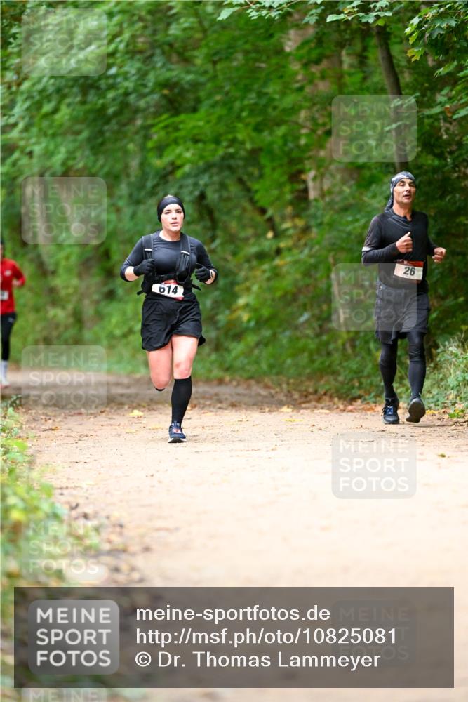 11.10.2026 - Bramfelder Halbmarathon 2026 Dr. Thomas Lammeyer http://msf.ph/oto/10825081 11.10.2026 10:47:34 Laufen 614, 26 meine-sportfotos.de