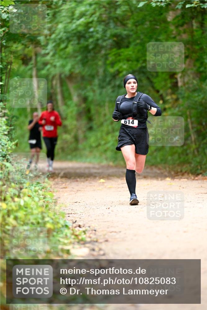 11.10.2026 - Bramfelder Halbmarathon 2026 Dr. Thomas Lammeyer http://msf.ph/oto/10825083 11.10.2026 10:47:36 Laufen 614 meine-sportfotos.de