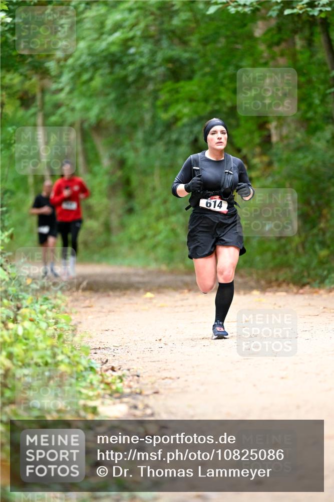 11.10.2026 - Bramfelder Halbmarathon 2026 Dr. Thomas Lammeyer http://msf.ph/oto/10825086 11.10.2026 10:47:36 Laufen 614 meine-sportfotos.de