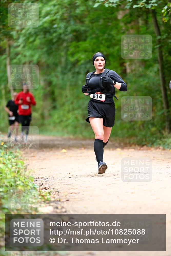 11.10.2026 - Bramfelder Halbmarathon 2026 Dr. Thomas Lammeyer http://msf.ph/oto/10825088 11.10.2026 10:47:36 Laufen 614 meine-sportfotos.de