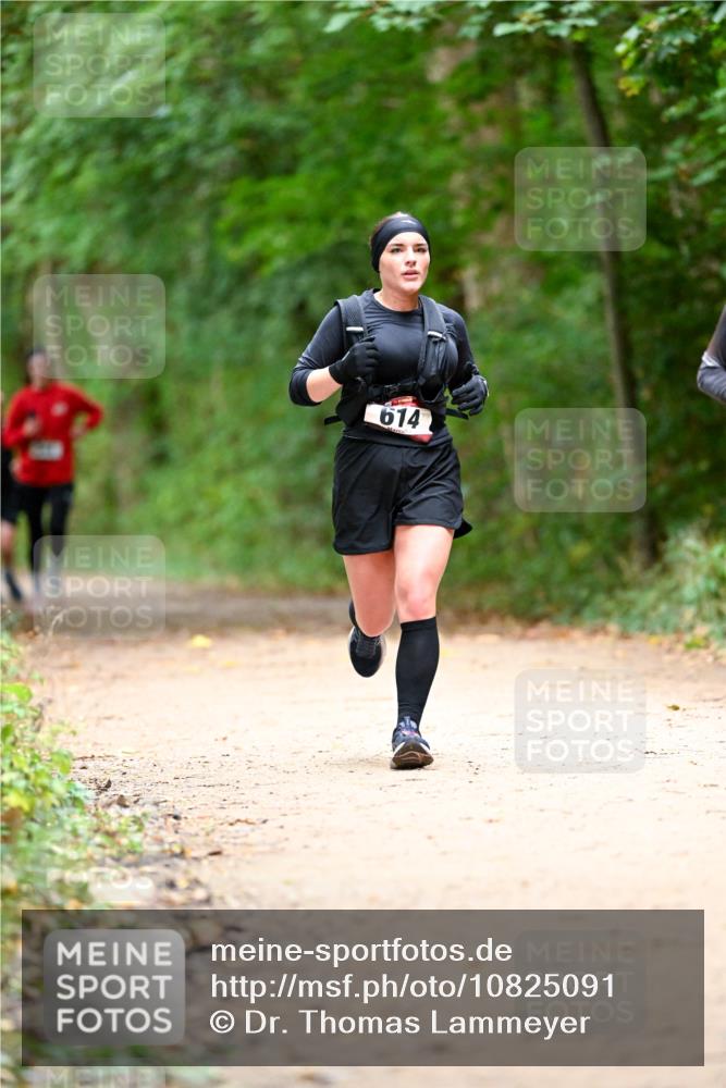 11.10.2026 - Bramfelder Halbmarathon 2026 Dr. Thomas Lammeyer http://msf.ph/oto/10825091 11.10.2026 10:47:37 Laufen 614 meine-sportfotos.de