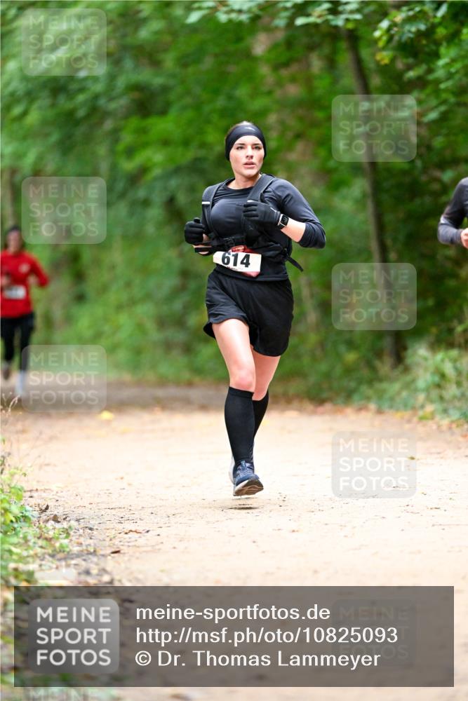 11.10.2026 - Bramfelder Halbmarathon 2026 Dr. Thomas Lammeyer http://msf.ph/oto/10825093 11.10.2026 10:47:37 Laufen 614 meine-sportfotos.de