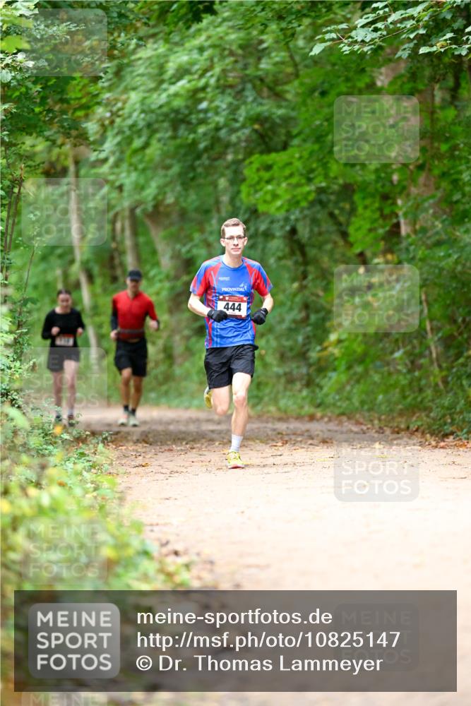 11.10.2026 - Bramfelder Halbmarathon 2026 Dr. Thomas Lammeyer http://msf.ph/oto/10825147 11.10.2026 10:47:59 Laufen 444, 444 meine-sportfotos.de