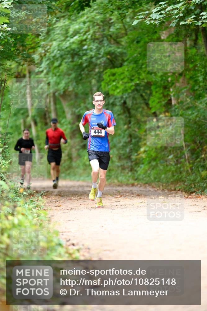 11.10.2026 - Bramfelder Halbmarathon 2026 Dr. Thomas Lammeyer http://msf.ph/oto/10825148 11.10.2026 10:47:59 Laufen 444 meine-sportfotos.de