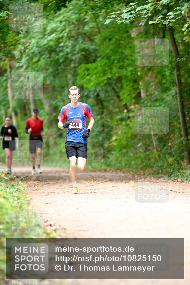 11.10.2026 - Bramfelder Halbmarathon 2026 Dr. Thomas Lammeyer http://msf.ph/oto/10825150 11.10.2026 10:48:00 Laufen 444, 444 meine-sportfotos.de