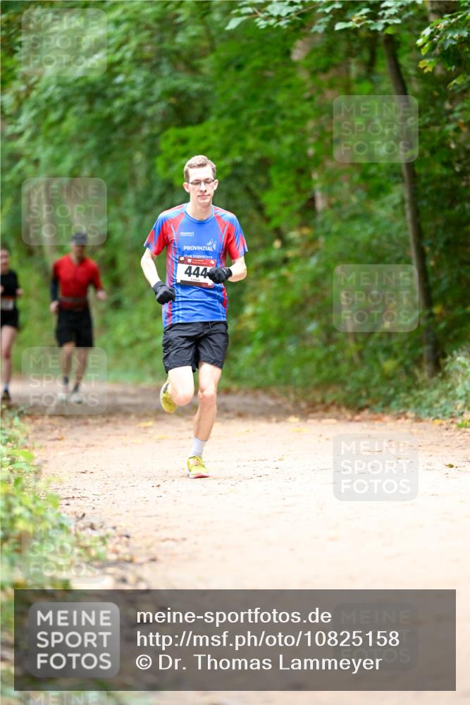 11.10.2026 - Bramfelder Halbmarathon 2026 Dr. Thomas Lammeyer http://msf.ph/oto/10825158 11.10.2026 10:48:01 Laufen 444 meine-sportfotos.de