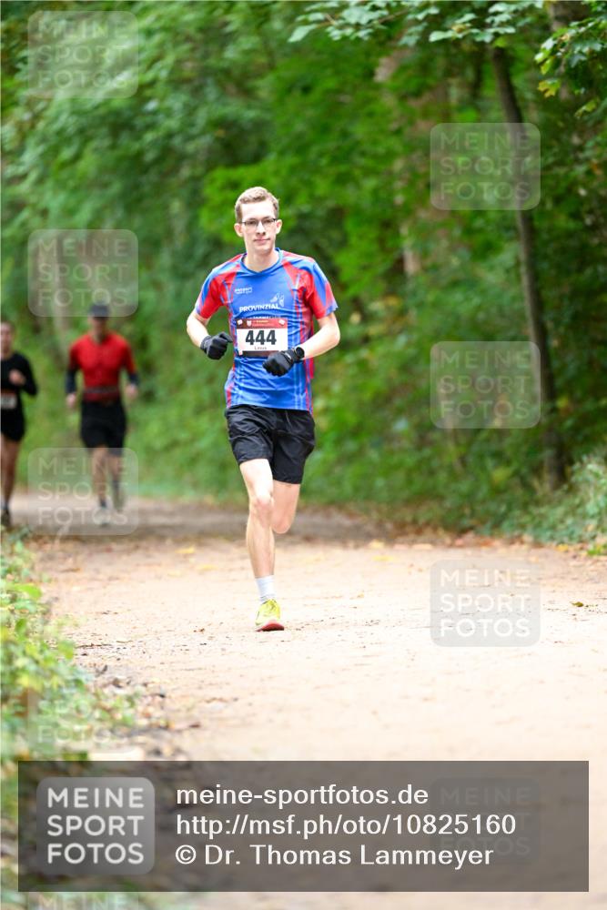 11.10.2026 - Bramfelder Halbmarathon 2026 Dr. Thomas Lammeyer http://msf.ph/oto/10825160 11.10.2026 10:48:01 Laufen 444 meine-sportfotos.de