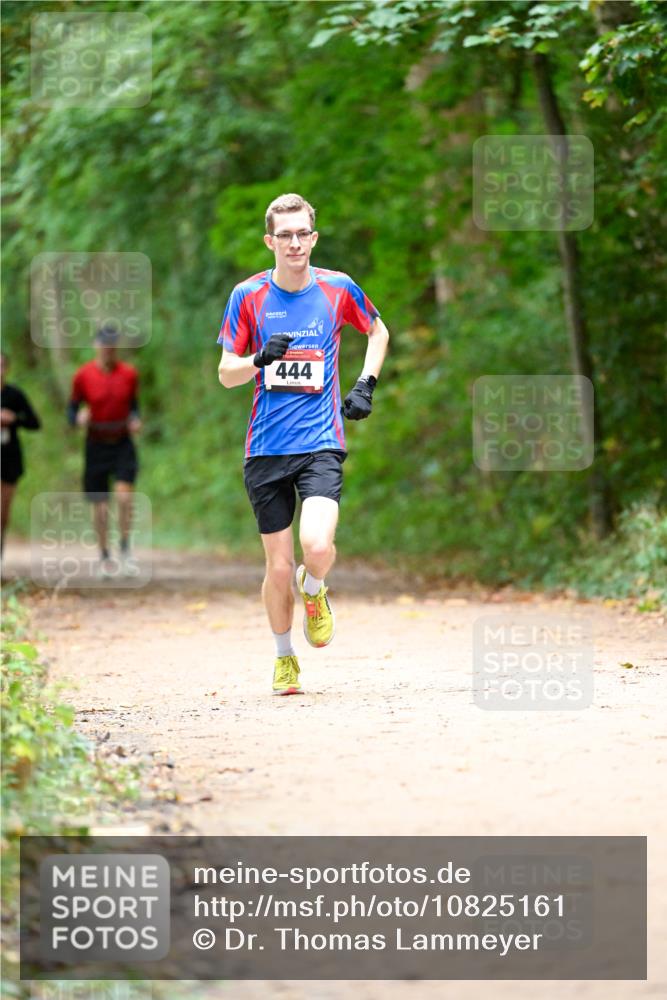 11.10.2026 - Bramfelder Halbmarathon 2026 Dr. Thomas Lammeyer http://msf.ph/oto/10825161 11.10.2026 10:48:01 Laufen 444 meine-sportfotos.de