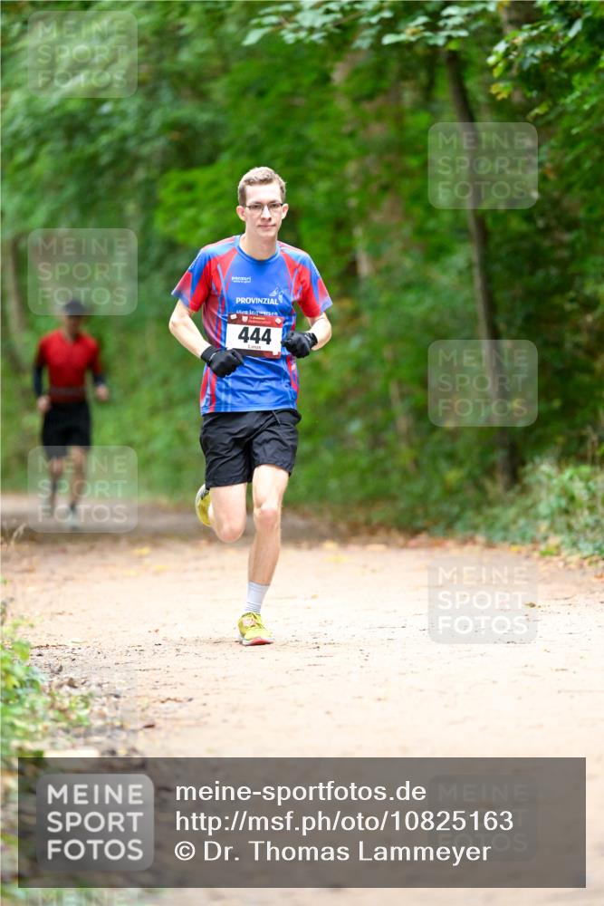11.10.2026 - Bramfelder Halbmarathon 2026 Dr. Thomas Lammeyer http://msf.ph/oto/10825163 11.10.2026 10:48:01 Laufen 444 meine-sportfotos.de