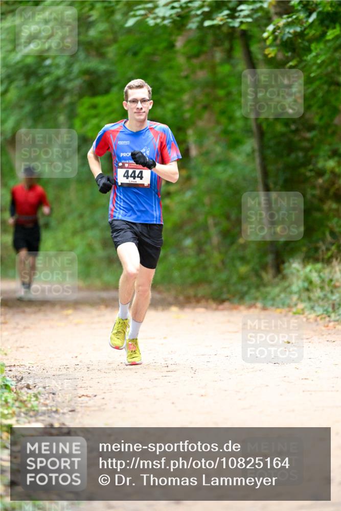 11.10.2026 - Bramfelder Halbmarathon 2026 Dr. Thomas Lammeyer http://msf.ph/oto/10825164 11.10.2026 10:48:01 Laufen 444 meine-sportfotos.de