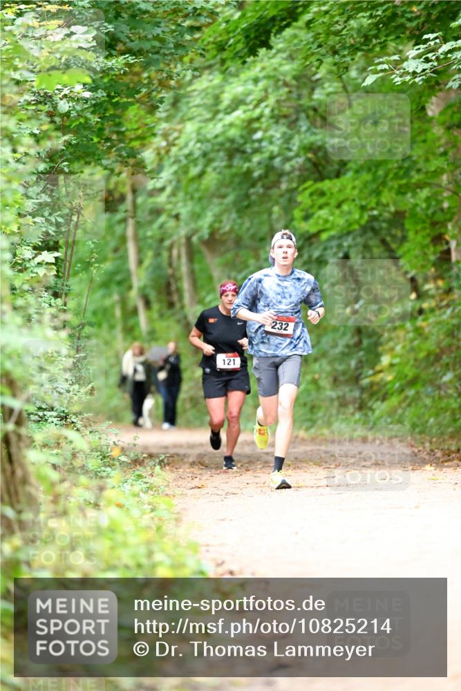 11.10.2026 - Bramfelder Halbmarathon 2026 Dr. Thomas Lammeyer http://msf.ph/oto/10825214 11.10.2026 10:48:35 Laufen 121, 232 meine-sportfotos.de