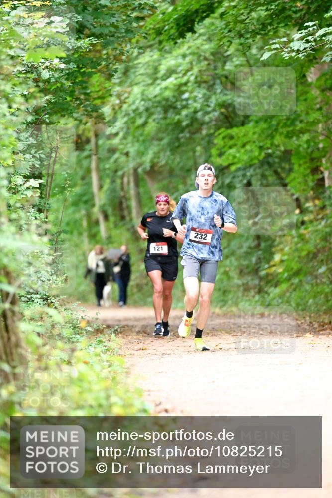 11.10.2026 - Bramfelder Halbmarathon 2026 Dr. Thomas Lammeyer http://msf.ph/oto/10825215 11.10.2026 10:48:36 Laufen 121, 232 meine-sportfotos.de