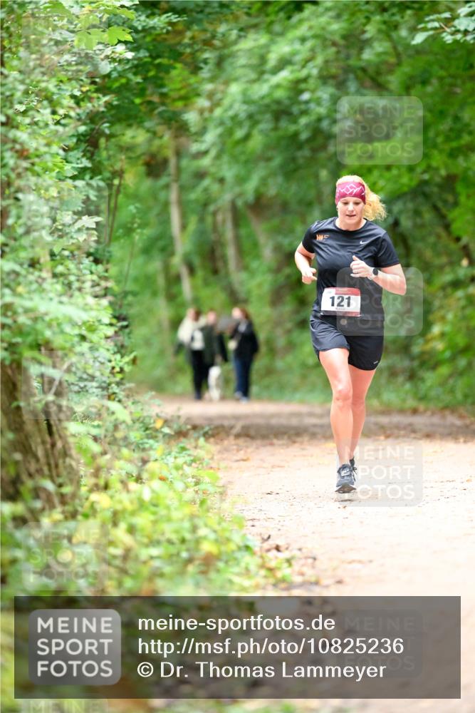 11.10.2026 - Bramfelder Halbmarathon 2026 Dr. Thomas Lammeyer http://msf.ph/oto/10825236 11.10.2026 10:48:39 Laufen 121 meine-sportfotos.de