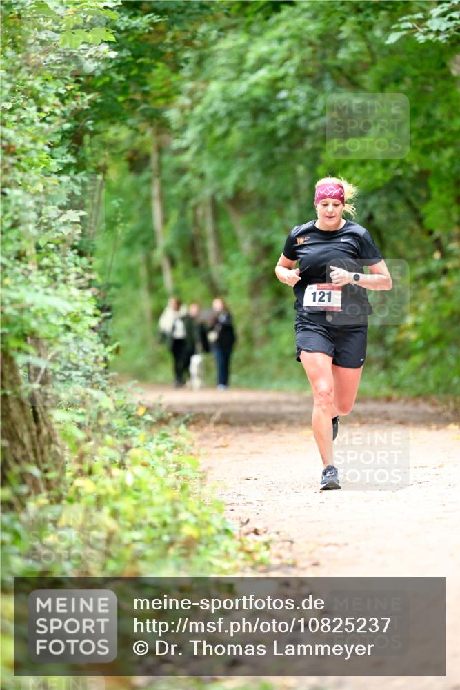 11.10.2026 - Bramfelder Halbmarathon 2026 Dr. Thomas Lammeyer http://msf.ph/oto/10825237 11.10.2026 10:48:39 Laufen 121 meine-sportfotos.de