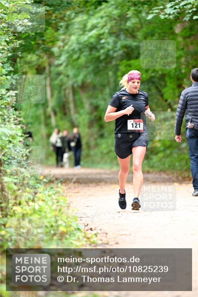 11.10.2026 - Bramfelder Halbmarathon 2026 Dr. Thomas Lammeyer http://msf.ph/oto/10825239 11.10.2026 10:48:40 Laufen 121 meine-sportfotos.de