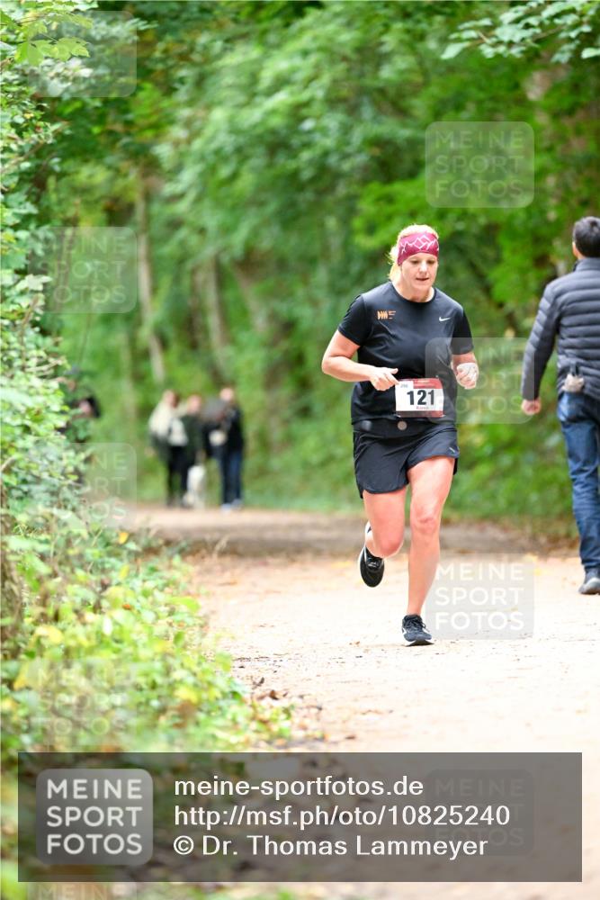 11.10.2026 - Bramfelder Halbmarathon 2026 Dr. Thomas Lammeyer http://msf.ph/oto/10825240 11.10.2026 10:48:40 Laufen 121 meine-sportfotos.de