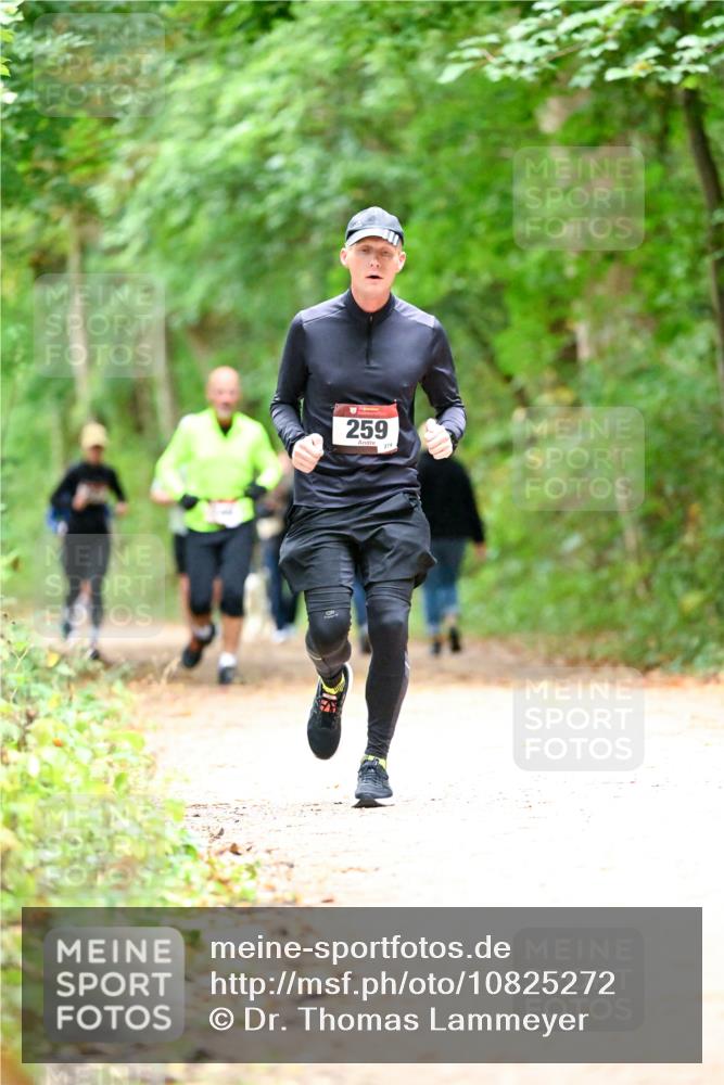 11.10.2026 - Bramfelder Halbmarathon 2026 Dr. Thomas Lammeyer http://msf.ph/oto/10825272 11.10.2026 10:48:52 Laufen 259, 274 meine-sportfotos.de