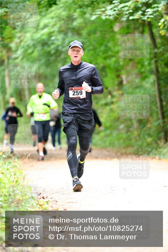 11.10.2026 - Bramfelder Halbmarathon 2026 Dr. Thomas Lammeyer http://msf.ph/oto/10825274 11.10.2026 10:48:53 Laufen 259, 274 meine-sportfotos.de