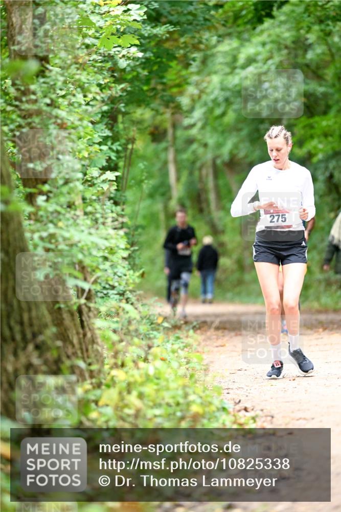 11.10.2026 - Bramfelder Halbmarathon 2026 Dr. Thomas Lammeyer http://msf.ph/oto/10825338 11.10.2026 10:49:10 Laufen 275 meine-sportfotos.de