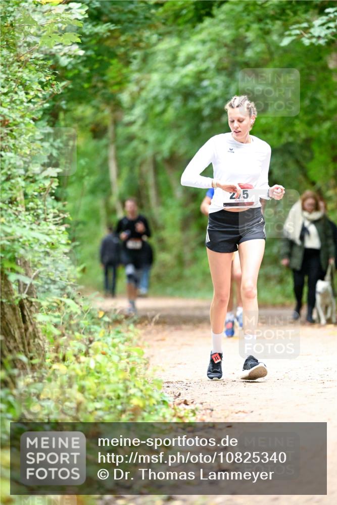 11.10.2026 - Bramfelder Halbmarathon 2026 Dr. Thomas Lammeyer http://msf.ph/oto/10825340 11.10.2026 10:49:11 Laufen 25 meine-sportfotos.de