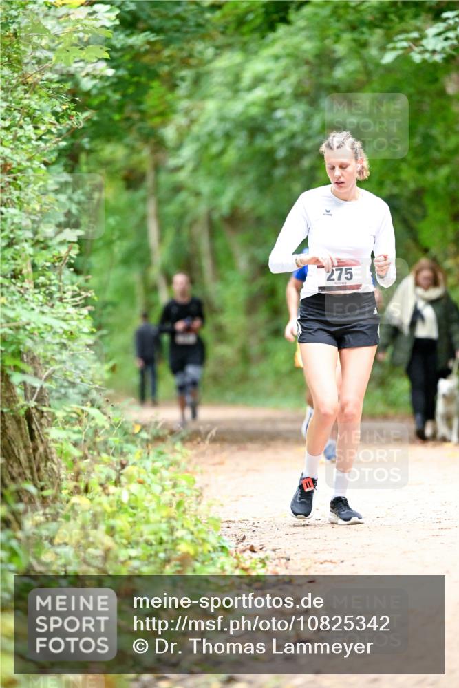 11.10.2026 - Bramfelder Halbmarathon 2026 Dr. Thomas Lammeyer http://msf.ph/oto/10825342 11.10.2026 10:49:11 Laufen 275 meine-sportfotos.de