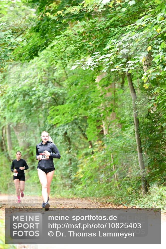 11.10.2026 - Bramfelder Halbmarathon 2026 Dr. Thomas Lammeyer http://msf.ph/oto/10825403 11.10.2026 10:49:53 Laufen 75 meine-sportfotos.de