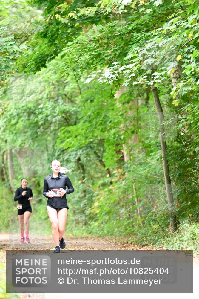 11.10.2026 - Bramfelder Halbmarathon 2026 Dr. Thomas Lammeyer http://msf.ph/oto/10825404 11.10.2026 10:49:53 Laufen  meine-sportfotos.de