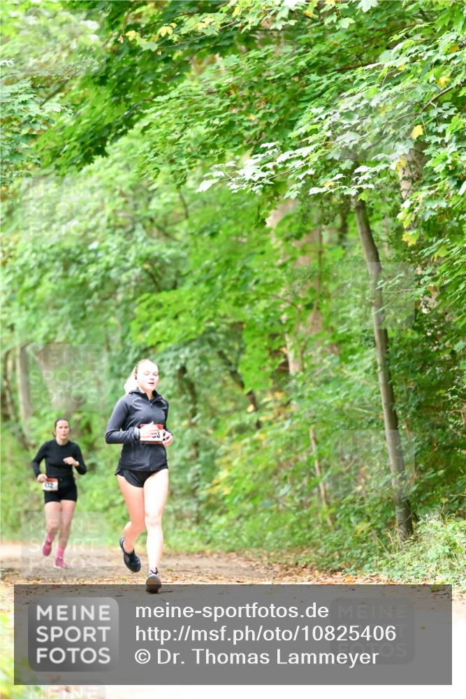 11.10.2026 - Bramfelder Halbmarathon 2026 Dr. Thomas Lammeyer http://msf.ph/oto/10825406 11.10.2026 10:49:53 Laufen 132 meine-sportfotos.de