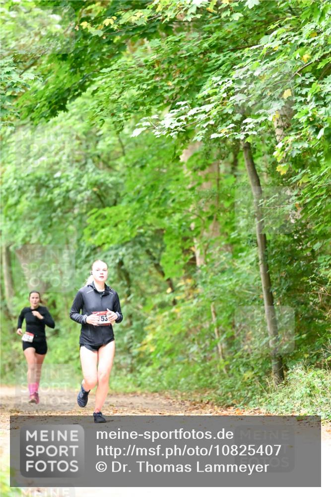 11.10.2026 - Bramfelder Halbmarathon 2026 Dr. Thomas Lammeyer http://msf.ph/oto/10825407 11.10.2026 10:49:53 Laufen  meine-sportfotos.de