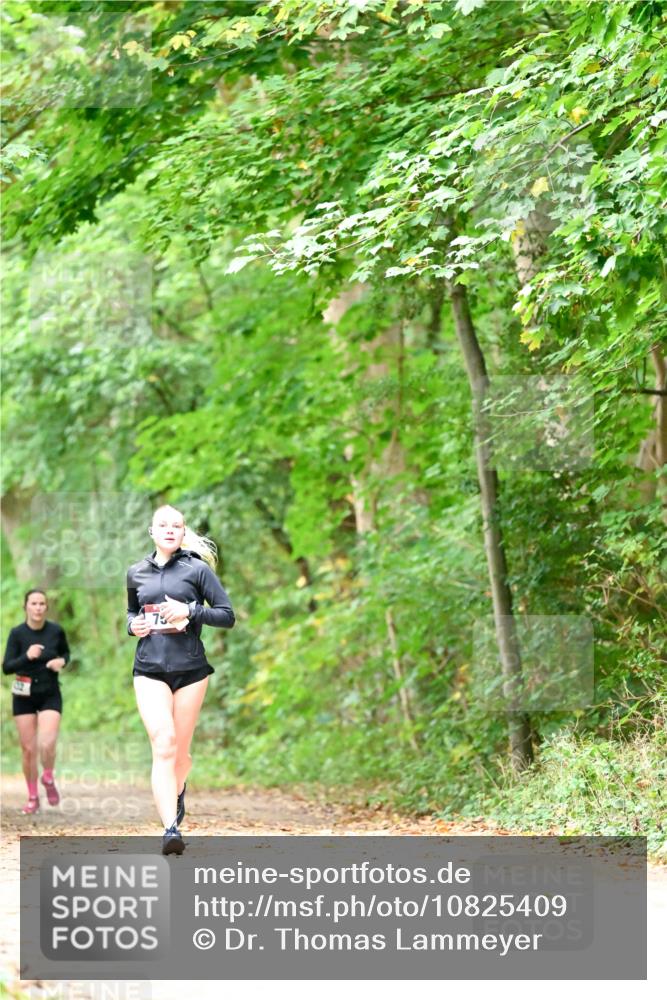 11.10.2026 - Bramfelder Halbmarathon 2026 Dr. Thomas Lammeyer http://msf.ph/oto/10825409 11.10.2026 10:49:53 Laufen 73 meine-sportfotos.de