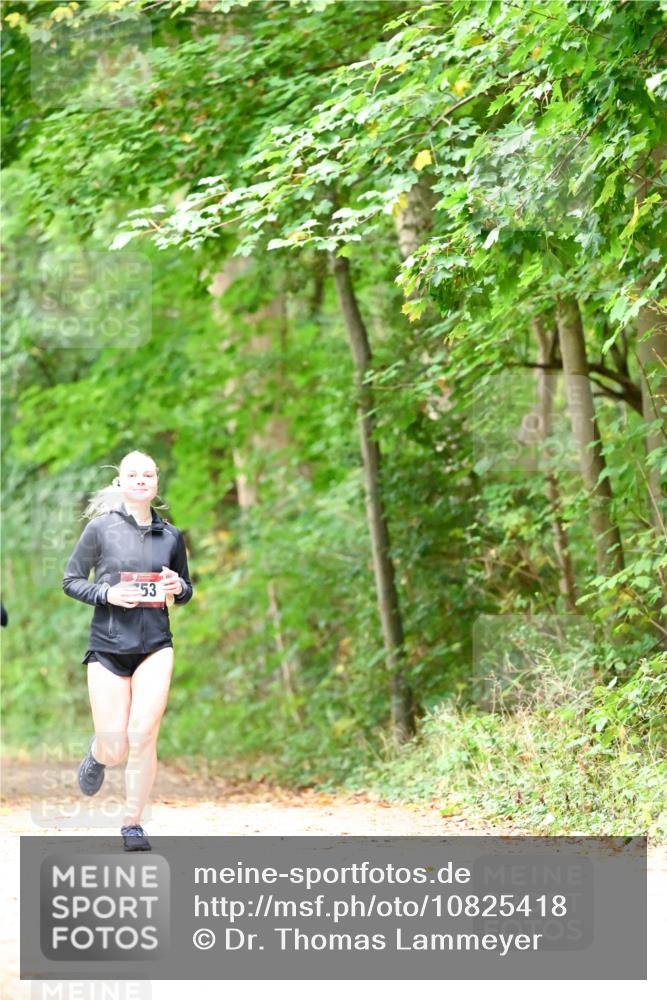 11.10.2026 - Bramfelder Halbmarathon 2026 Dr. Thomas Lammeyer http://msf.ph/oto/10825418 11.10.2026 10:49:55 Laufen 53 meine-sportfotos.de