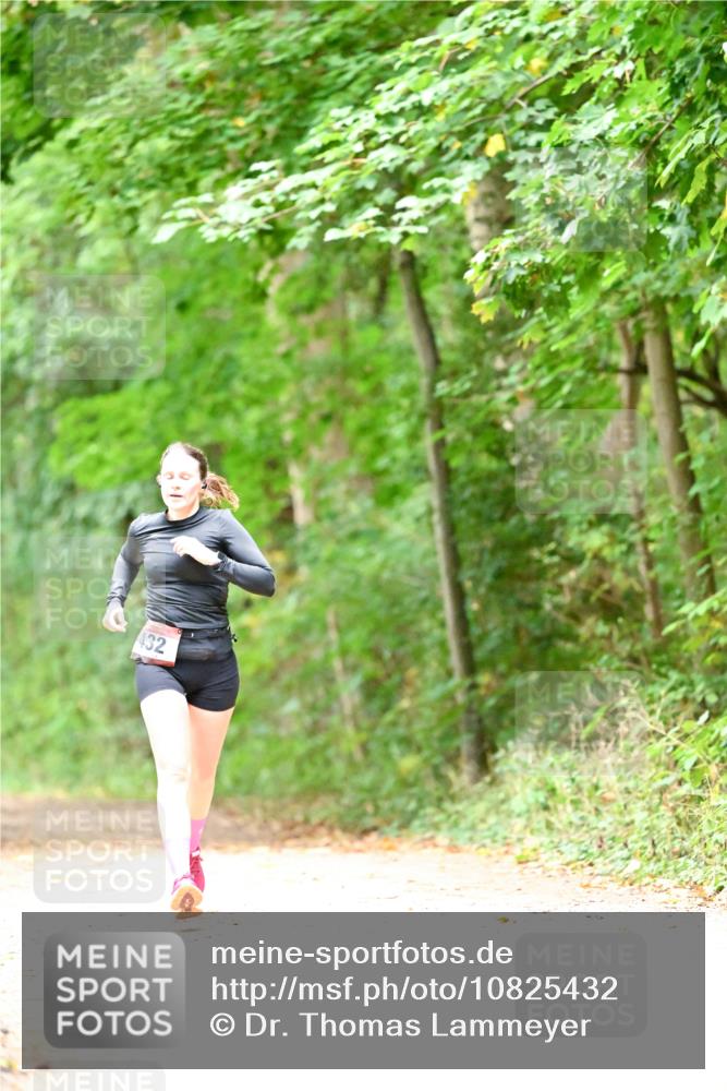 11.10.2026 - Bramfelder Halbmarathon 2026 Dr. Thomas Lammeyer http://msf.ph/oto/10825432 11.10.2026 10:49:59 Laufen 432 meine-sportfotos.de