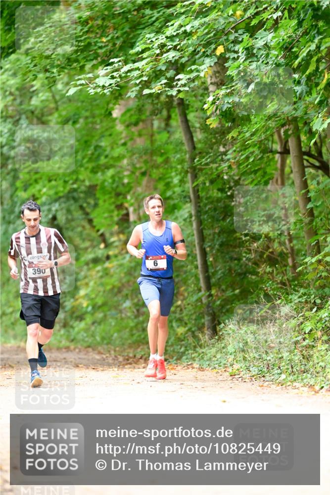 11.10.2026 - Bramfelder Halbmarathon 2026 Dr. Thomas Lammeyer http://msf.ph/oto/10825449 11.10.2026 10:50:04 Laufen 390, 6 meine-sportfotos.de