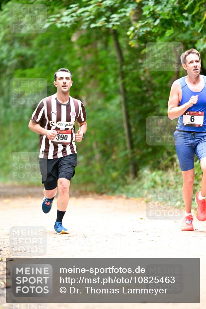 11.10.2026 - Bramfelder Halbmarathon 2026 Dr. Thomas Lammeyer http://msf.ph/oto/10825463 11.10.2026 10:50:07 Laufen 390, 6 meine-sportfotos.de