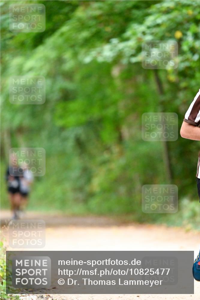 11.10.2026 - Bramfelder Halbmarathon 2026 Dr. Thomas Lammeyer http://msf.ph/oto/10825477 11.10.2026 10:50:09 Laufen  meine-sportfotos.de