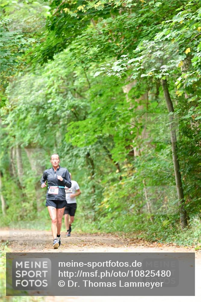 11.10.2026 - Bramfelder Halbmarathon 2026 Dr. Thomas Lammeyer http://msf.ph/oto/10825480 11.10.2026 10:50:12 Laufen 62 meine-sportfotos.de