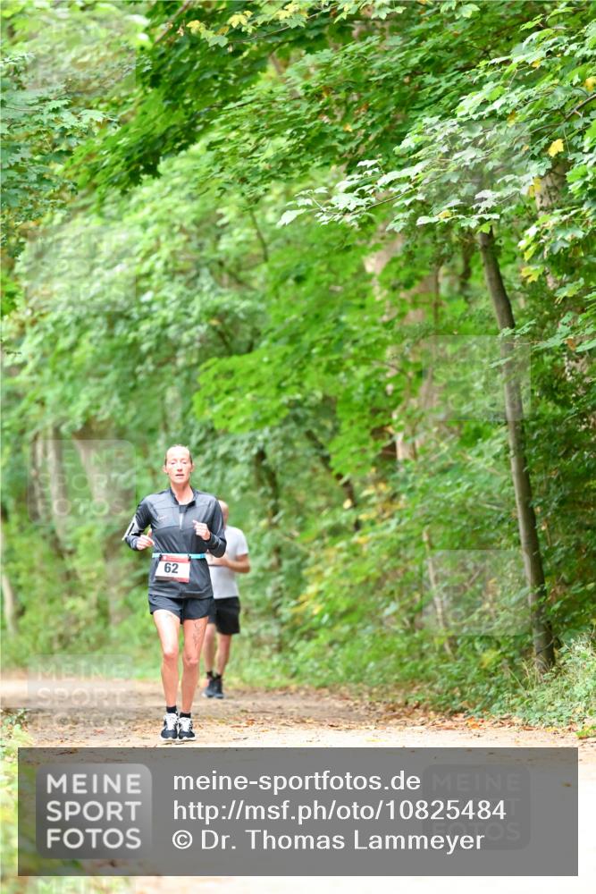 11.10.2026 - Bramfelder Halbmarathon 2026 Dr. Thomas Lammeyer http://msf.ph/oto/10825484 11.10.2026 10:50:13 Laufen 62 meine-sportfotos.de