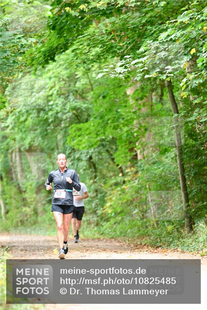 11.10.2026 - Bramfelder Halbmarathon 2026 Dr. Thomas Lammeyer http://msf.ph/oto/10825485 11.10.2026 10:50:13 Laufen 62 meine-sportfotos.de