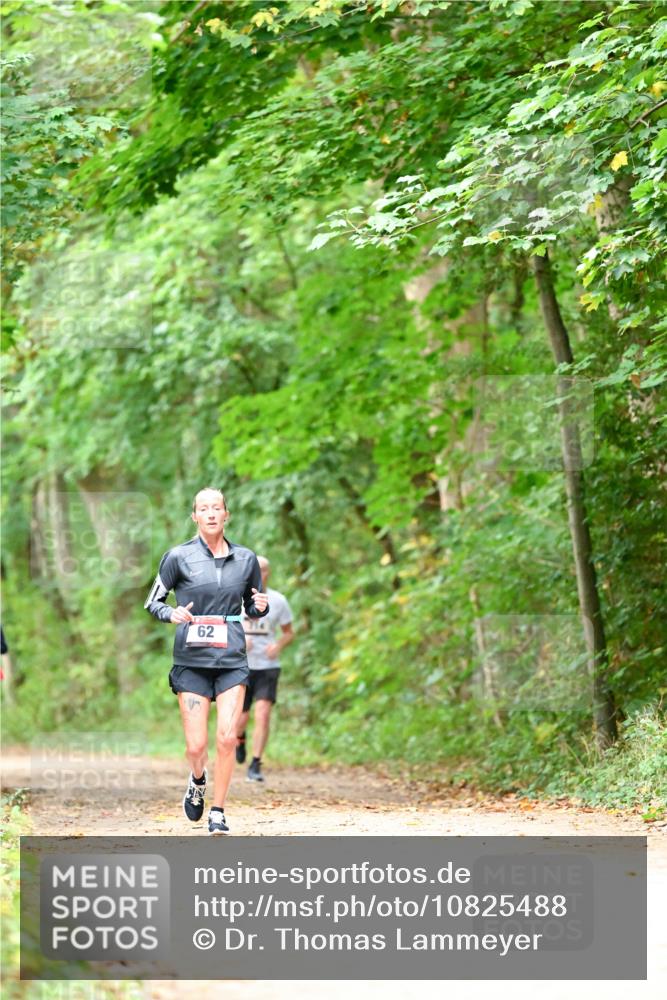 11.10.2026 - Bramfelder Halbmarathon 2026 Dr. Thomas Lammeyer http://msf.ph/oto/10825488 11.10.2026 10:50:13 Laufen 62 meine-sportfotos.de