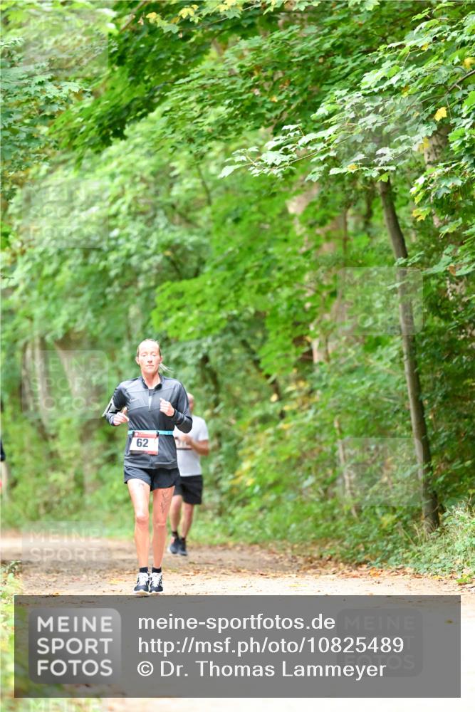 11.10.2026 - Bramfelder Halbmarathon 2026 Dr. Thomas Lammeyer http://msf.ph/oto/10825489 11.10.2026 10:50:14 Laufen 2, 62 meine-sportfotos.de