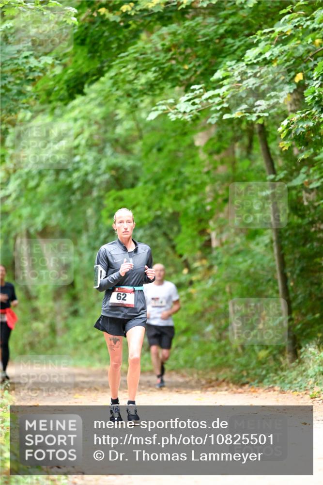 11.10.2026 - Bramfelder Halbmarathon 2026 Dr. Thomas Lammeyer http://msf.ph/oto/10825501 11.10.2026 10:50:15 Laufen 62 meine-sportfotos.de