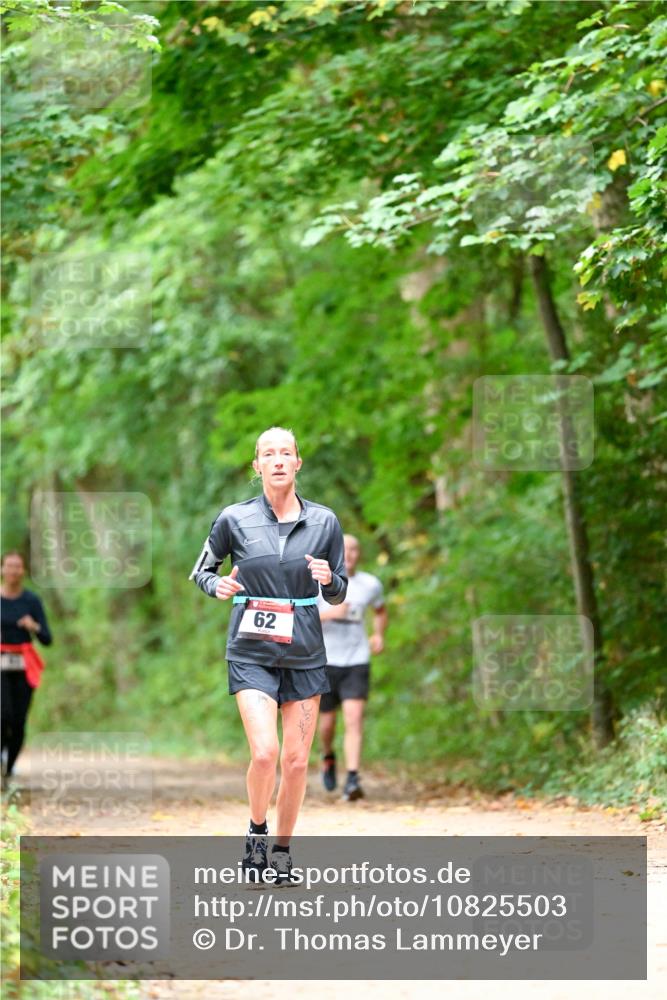 11.10.2026 - Bramfelder Halbmarathon 2026 Dr. Thomas Lammeyer http://msf.ph/oto/10825503 11.10.2026 10:50:15 Laufen 62 meine-sportfotos.de