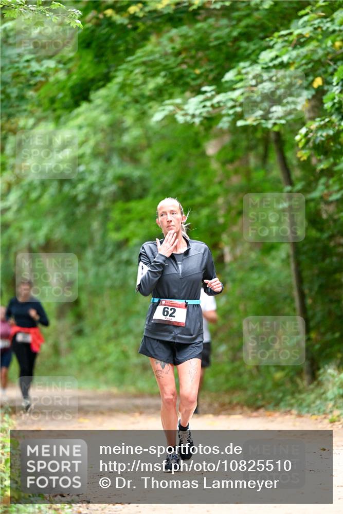 11.10.2026 - Bramfelder Halbmarathon 2026 Dr. Thomas Lammeyer http://msf.ph/oto/10825510 11.10.2026 10:50:16 Laufen 62 meine-sportfotos.de