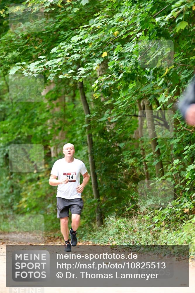 11.10.2026 - Bramfelder Halbmarathon 2026 Dr. Thomas Lammeyer http://msf.ph/oto/10825513 11.10.2026 10:50:19 Laufen 214 meine-sportfotos.de
