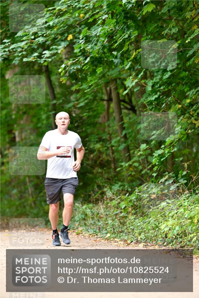 11.10.2026 - Bramfelder Halbmarathon 2026 Dr. Thomas Lammeyer http://msf.ph/oto/10825524 11.10.2026 10:50:21 Laufen  meine-sportfotos.de