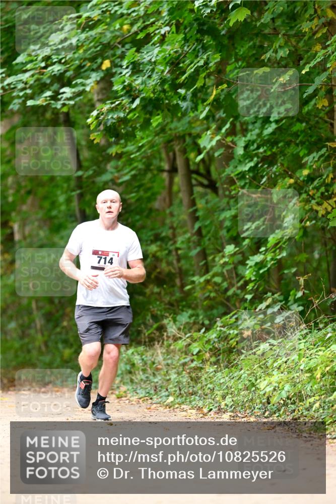 11.10.2026 - Bramfelder Halbmarathon 2026 Dr. Thomas Lammeyer http://msf.ph/oto/10825526 11.10.2026 10:50:21 Laufen 714 meine-sportfotos.de