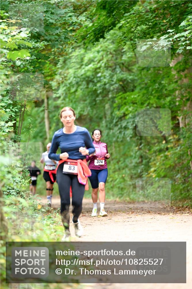 11.10.2026 - Bramfelder Halbmarathon 2026 Dr. Thomas Lammeyer http://msf.ph/oto/10825527 11.10.2026 10:50:23 Laufen 197, 83, 374 meine-sportfotos.de